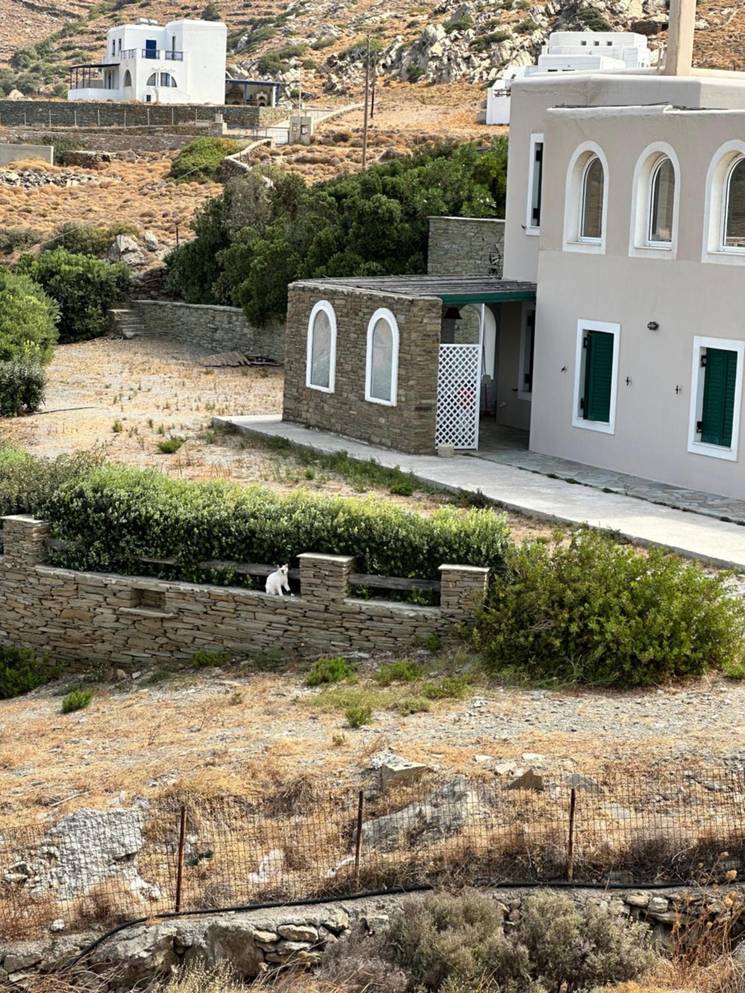 Andros Eco Home Gavrio Exterior photo
